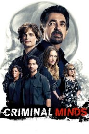 Criminal Minds: Season 12